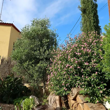 Disfrutar De Tu Casa Con Piscina * Segur de Calafell